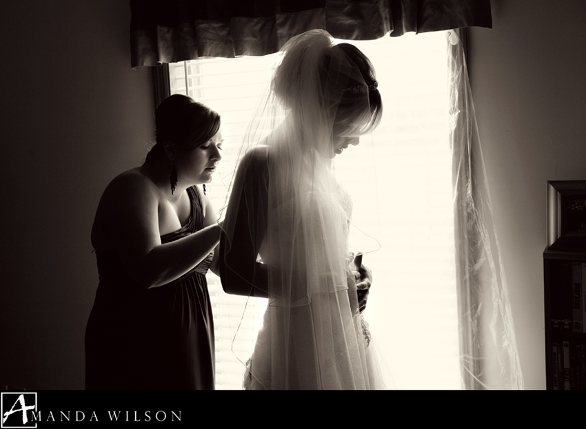 Photography By Amanda Wilson