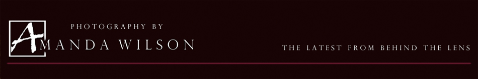 Amanda Wilson logo