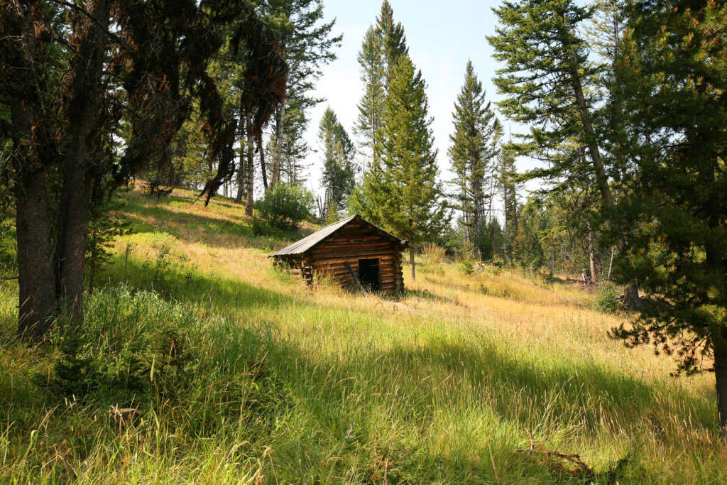 Abandoned Cabins For Sale In Montana
