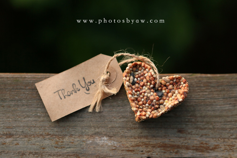 birdseed_oranment_wedding_favor