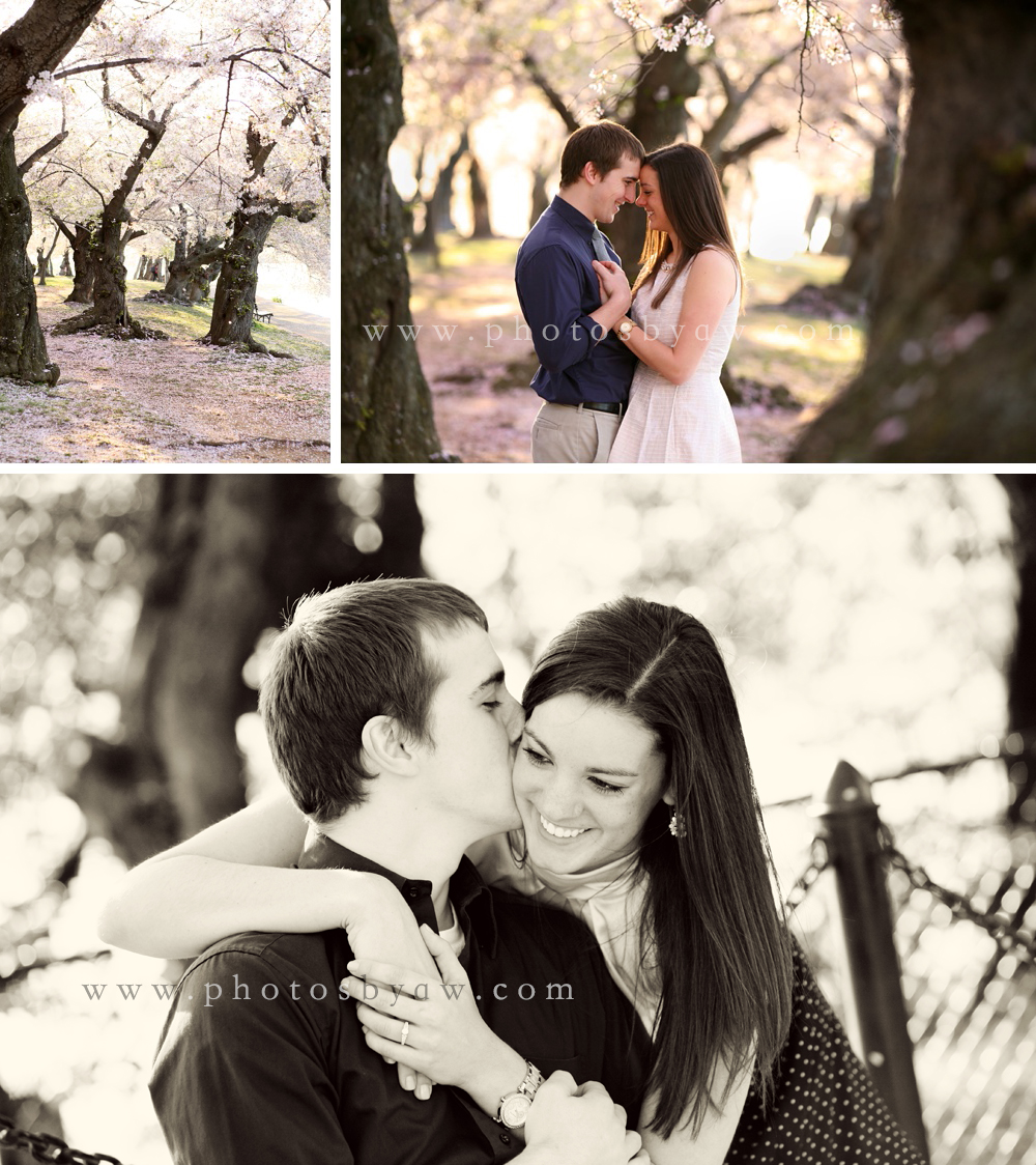 photosbyaw_DC_tidal_basin_engagement