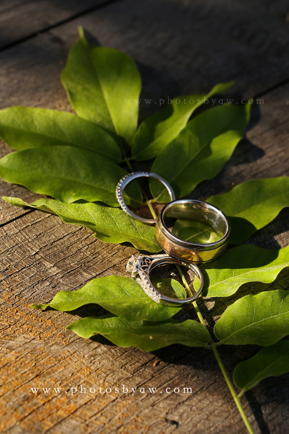 wedding_rings_with_green_leaf_nature_theme_wedding