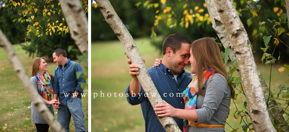 birch_tree_photo_session_fall_pennsylvania