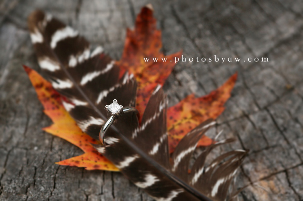 engagement_ring_with_leaf_and_feather