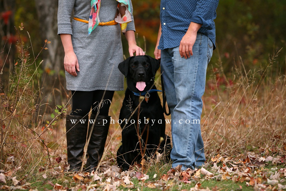 Stephanie & Jason | fall engagement session