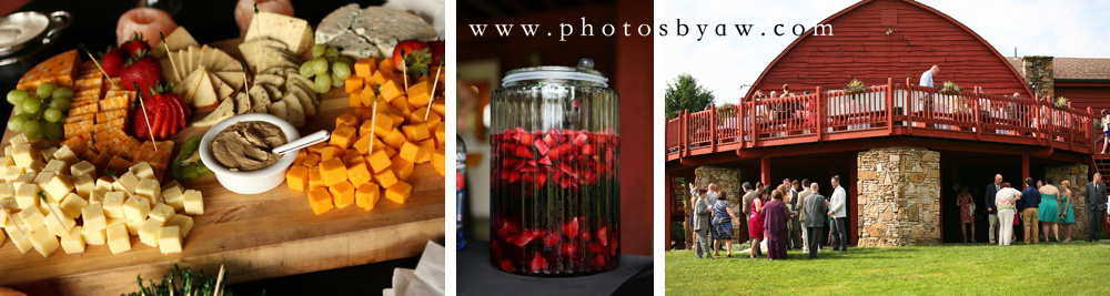 laurel_highlands_caterer_wedding