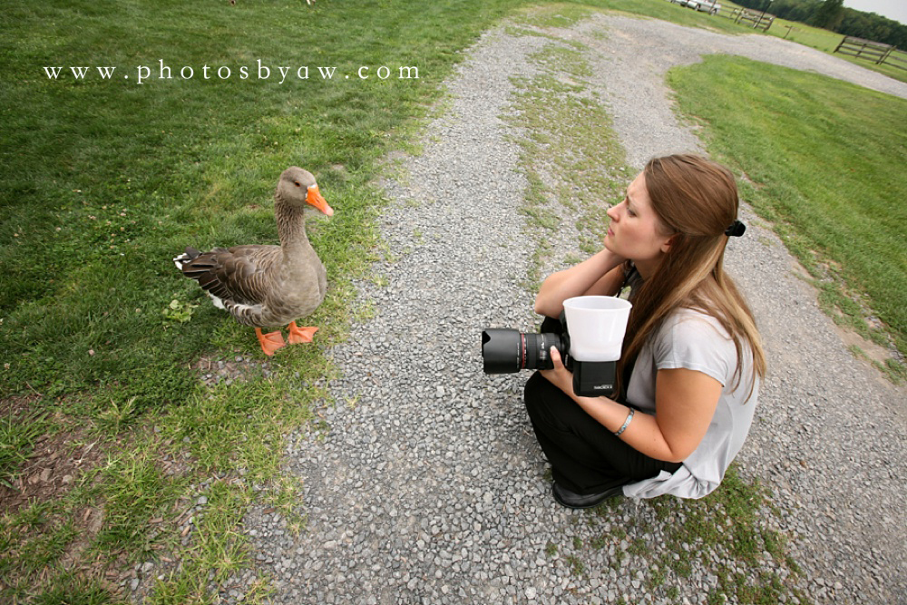 wedding_photographer_goose