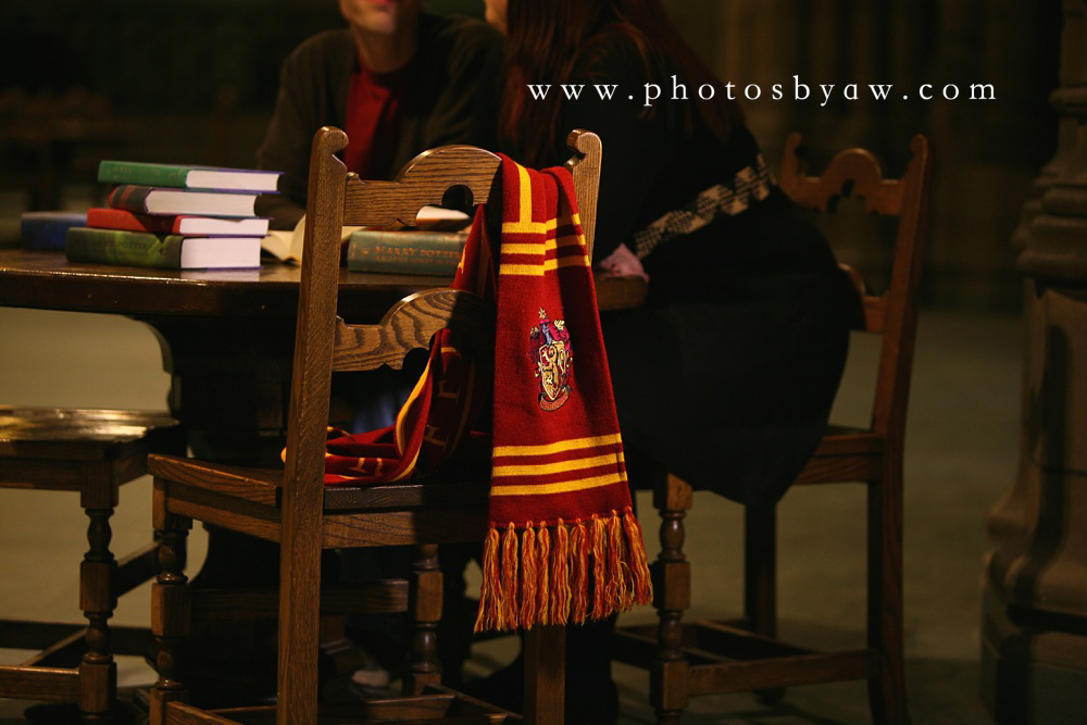 Sara & Josh | Magical Harry Potter Themed Engagement Session