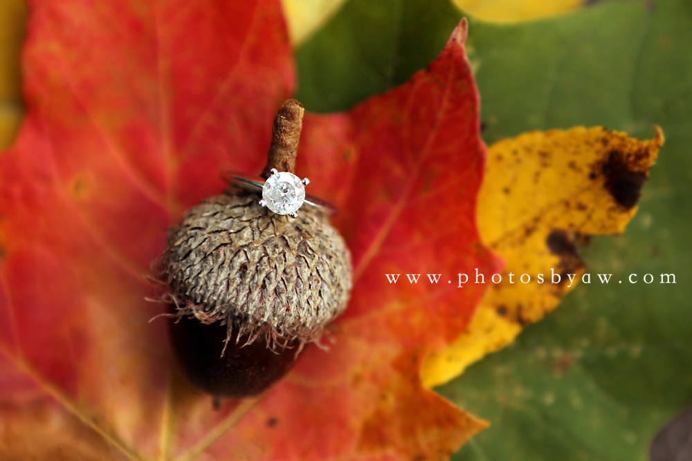 acorn engagement ring