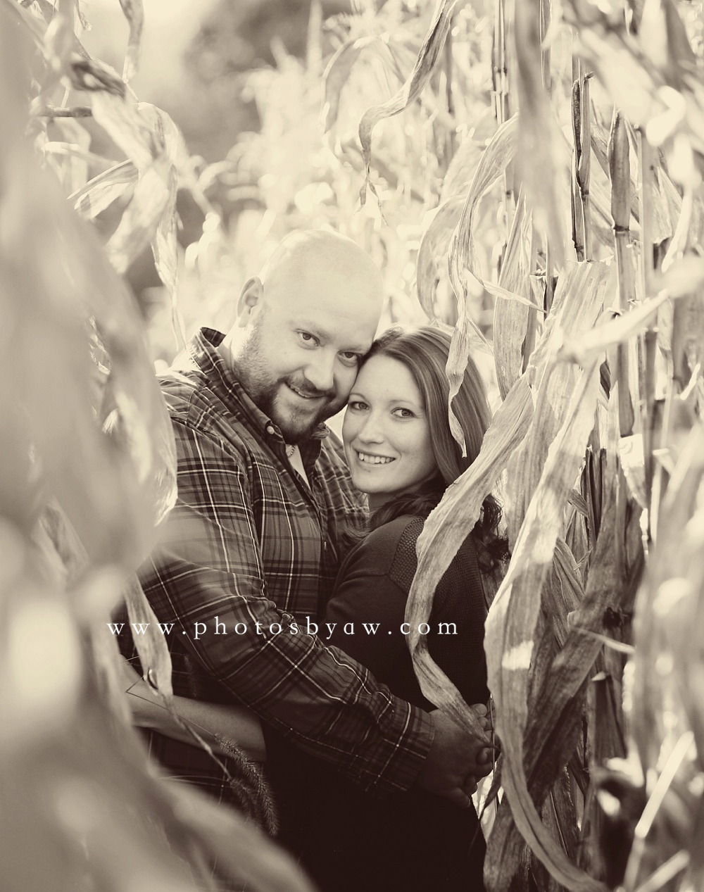 Keely & Todd | fall engagement photos in a cornfield