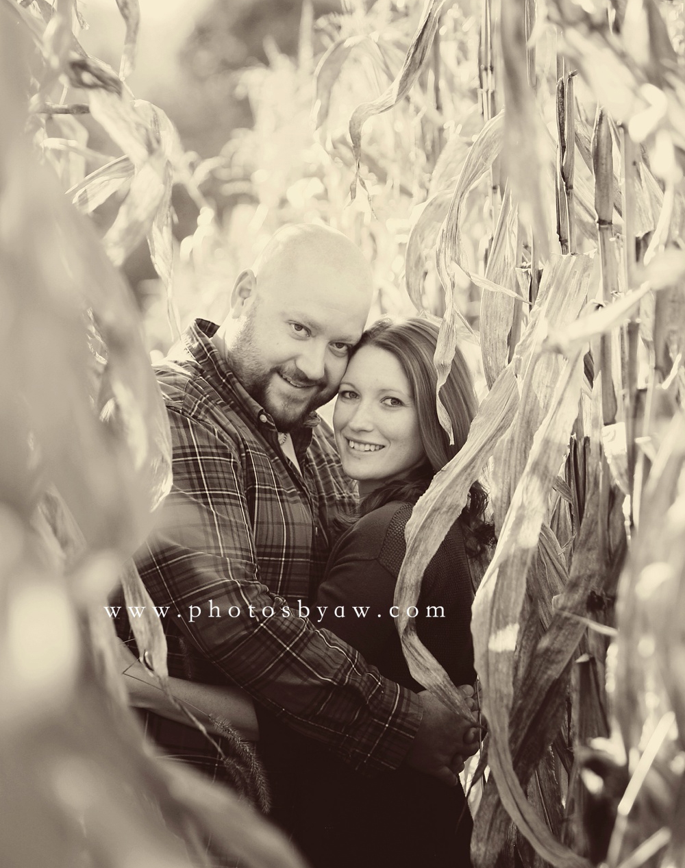 cornfield portrait session