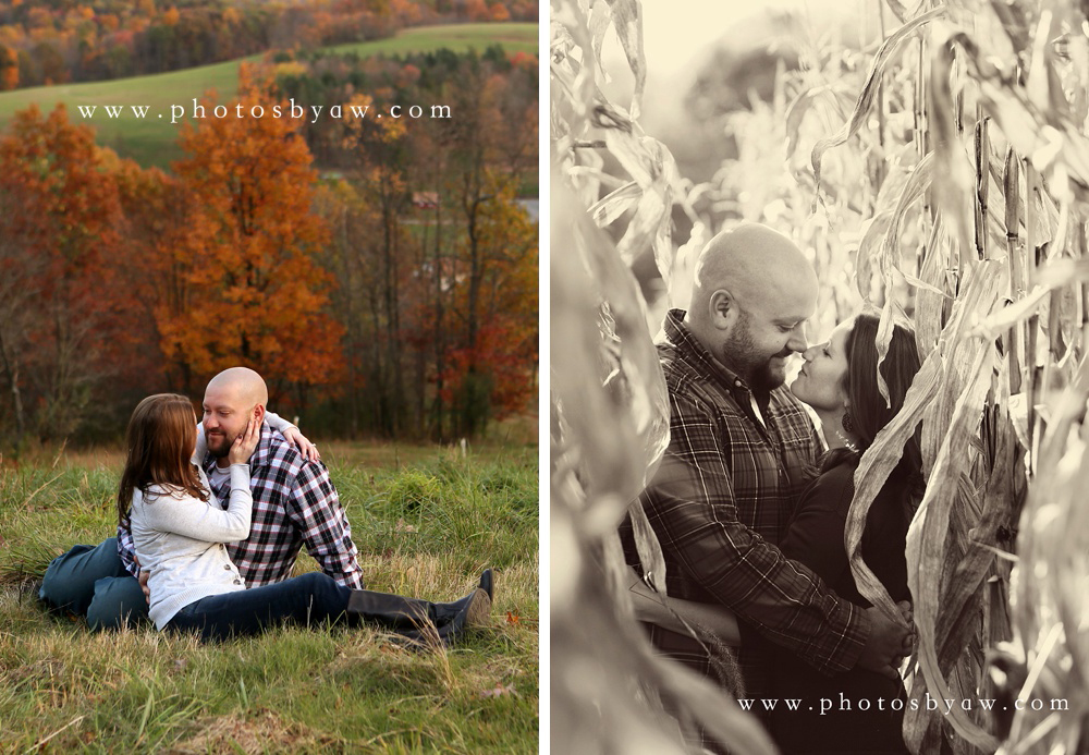 fall engagement overlook pennsylvania