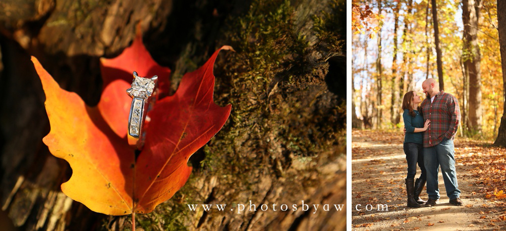 diamond ring fall leaf