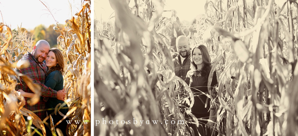 cornstalk photos