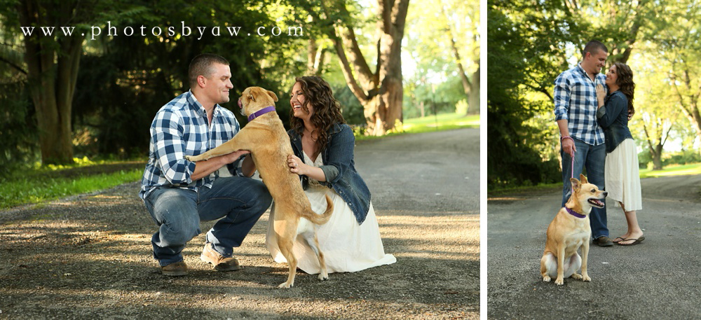 funny dog engagement photos