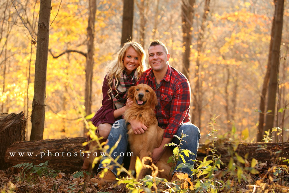 golden retriever fall leaves