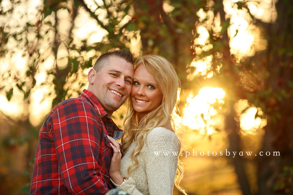 sunset cherry tree engagement photo