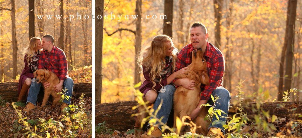 golden retriever engagement photos