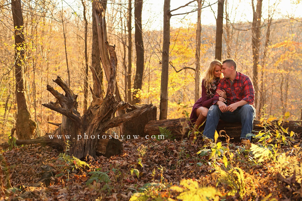 woods engagement session