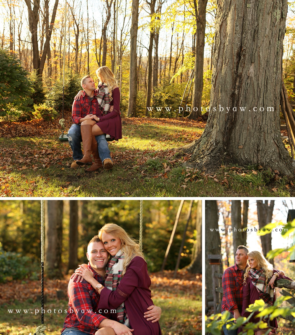 fall tree swing photos