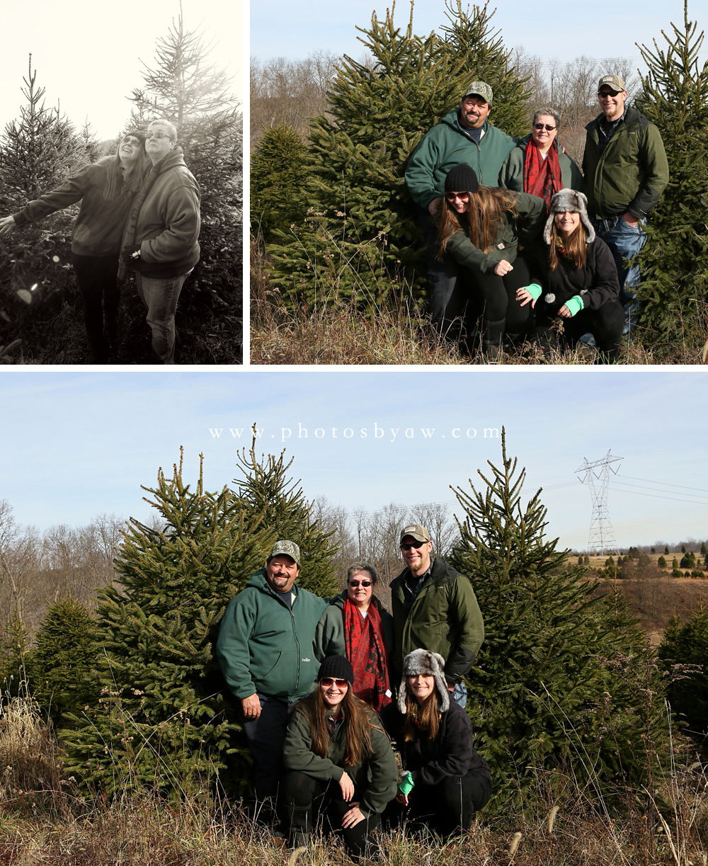 family photos in christmas tree field