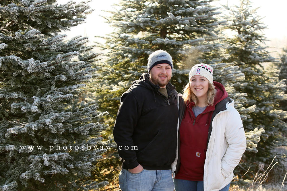 couple photos in a christmas tree field