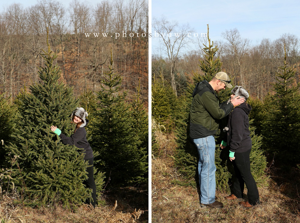 family christmas tree