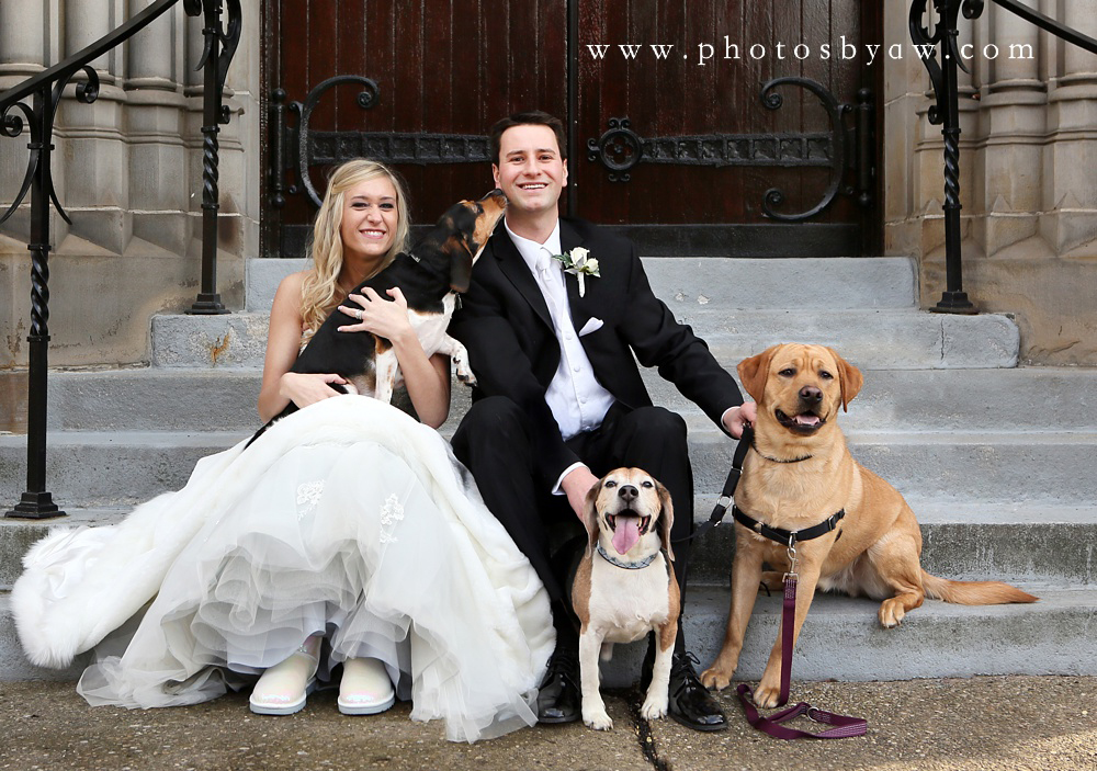 dog wedding photos