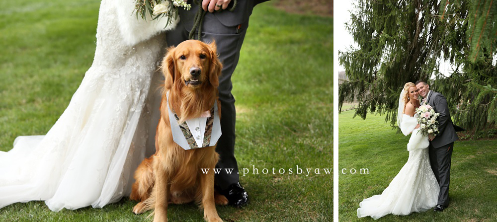 bride-and-groom-with-their-dog