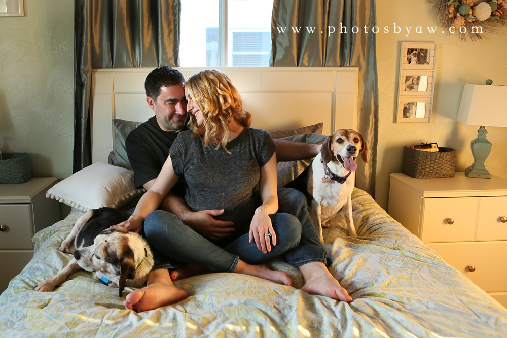 lifestyle-maternity-photos-with-dogs
