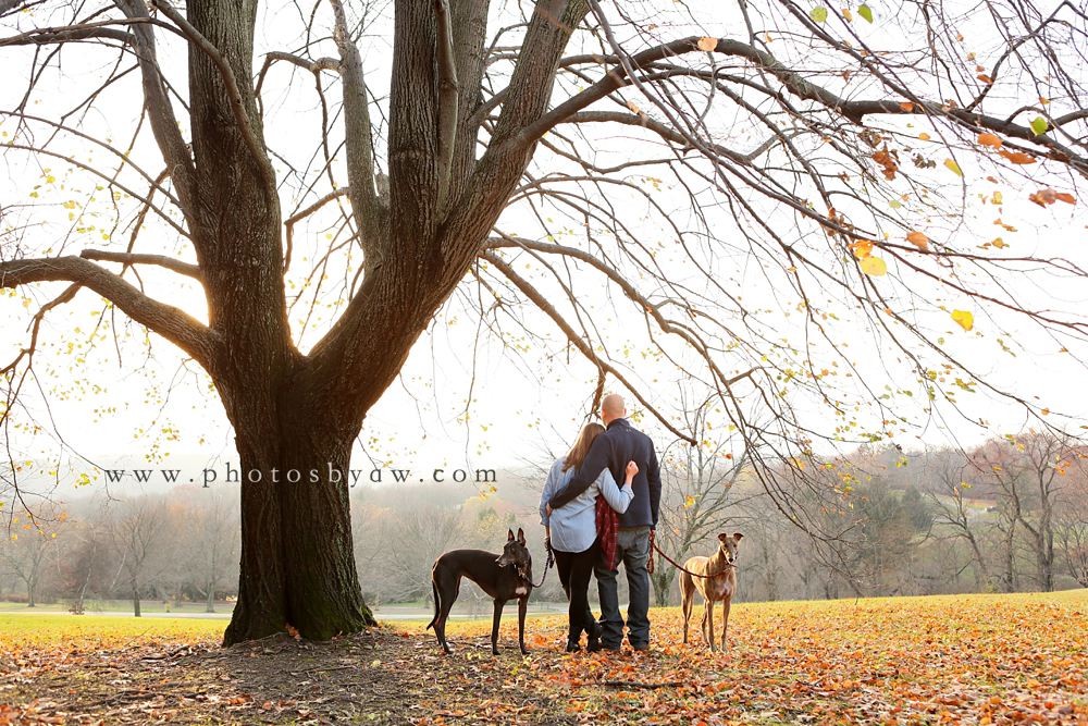 pittsburgh_engagement_session_with_greyhounds