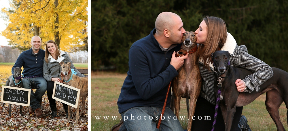 fall_engagement_session_with_dogs