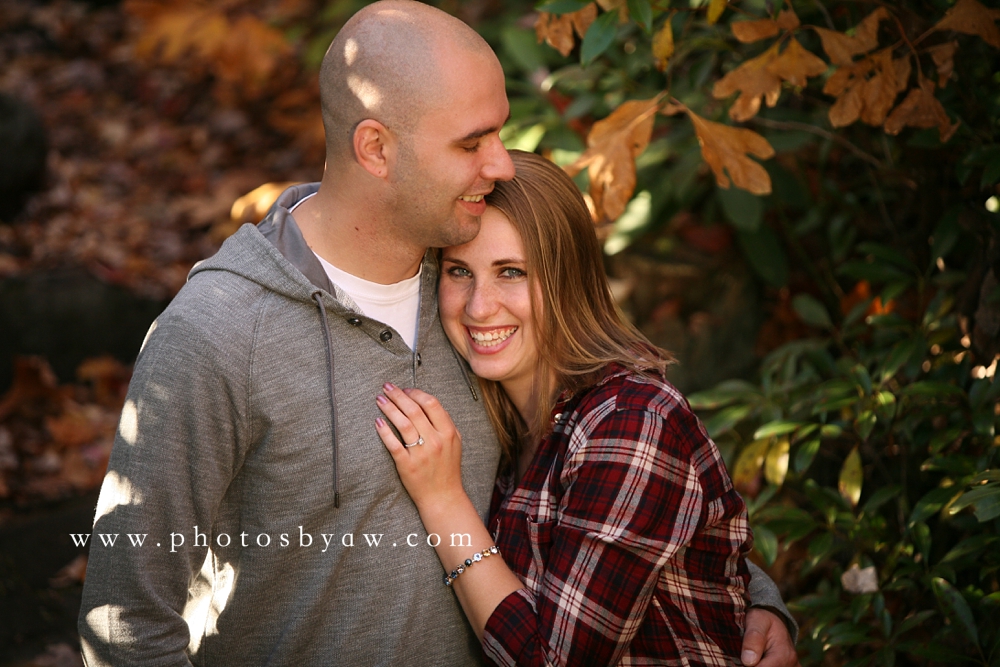 fall_laurel_highlands_engagement