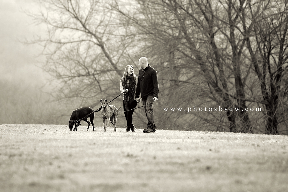 greyhound_engagement_photo