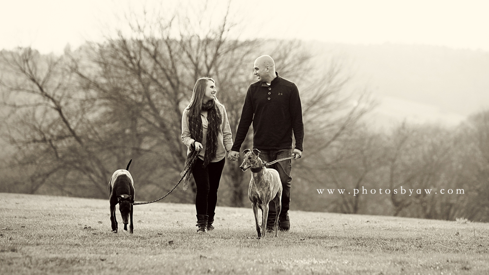 black_and_white_engagement_greyhounds