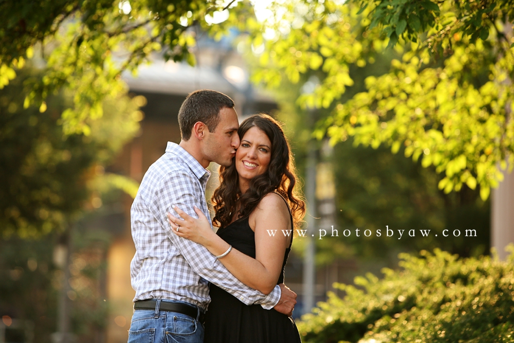 pittsburgh_north_shore_engagement