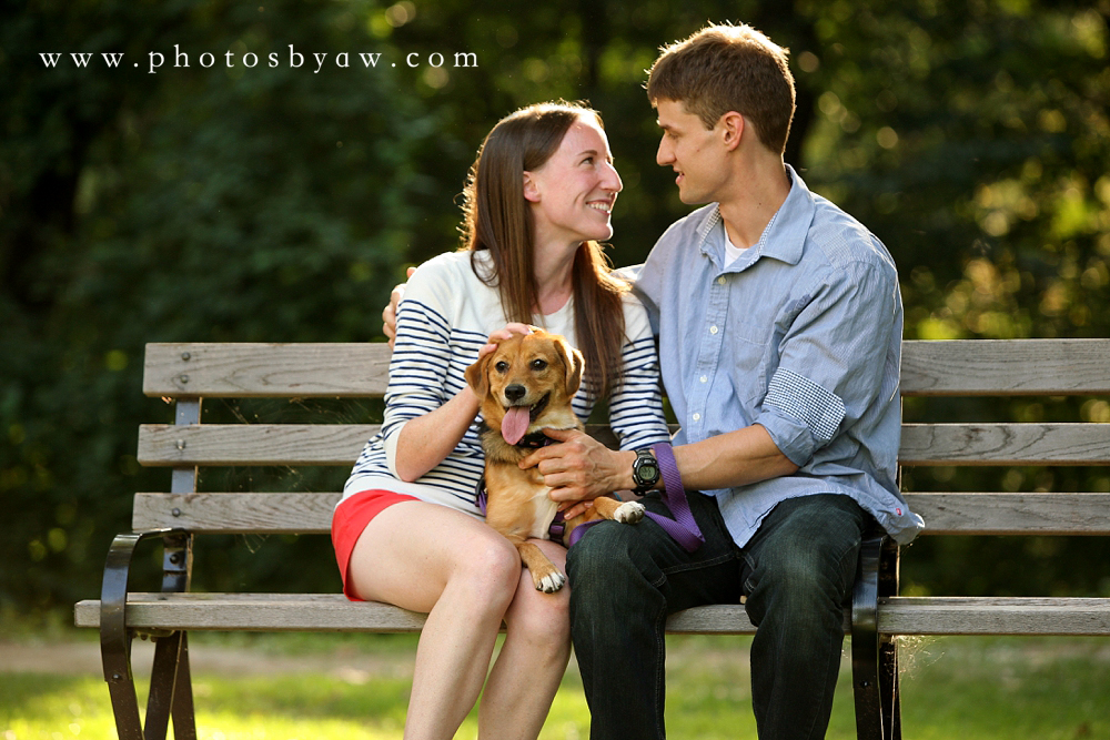 dog_schenley_park