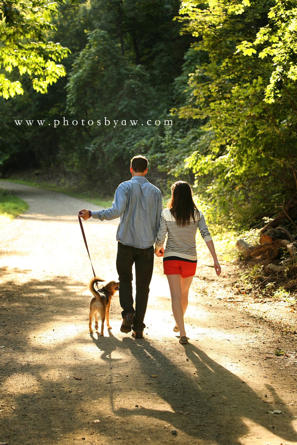 schenley_park_dog_photos