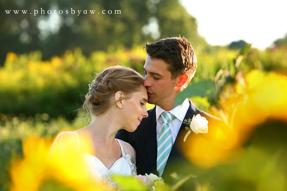 sunflower_wedding_photos_lingrow_farm