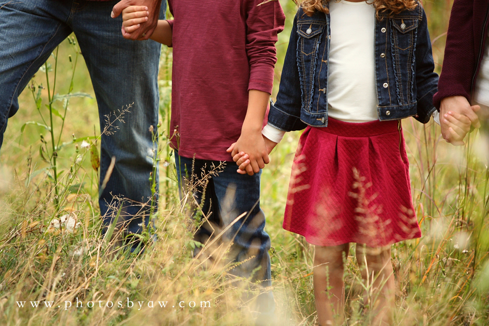 family_photo_holding_hands