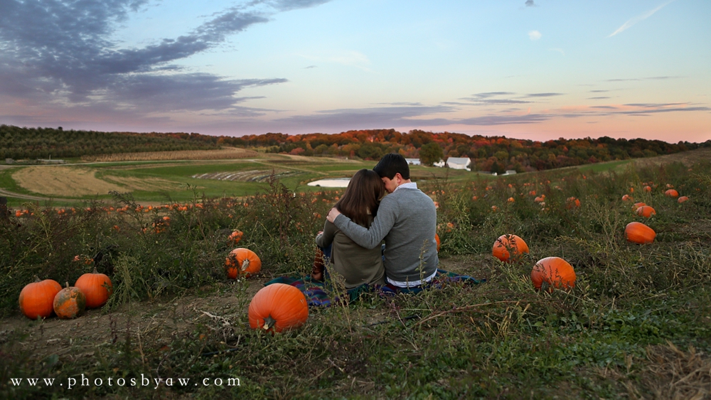 pumpkin patch engagement