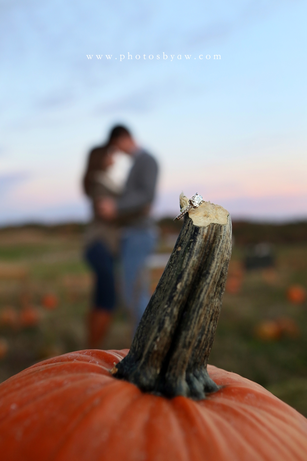 pumpkin patch engagement