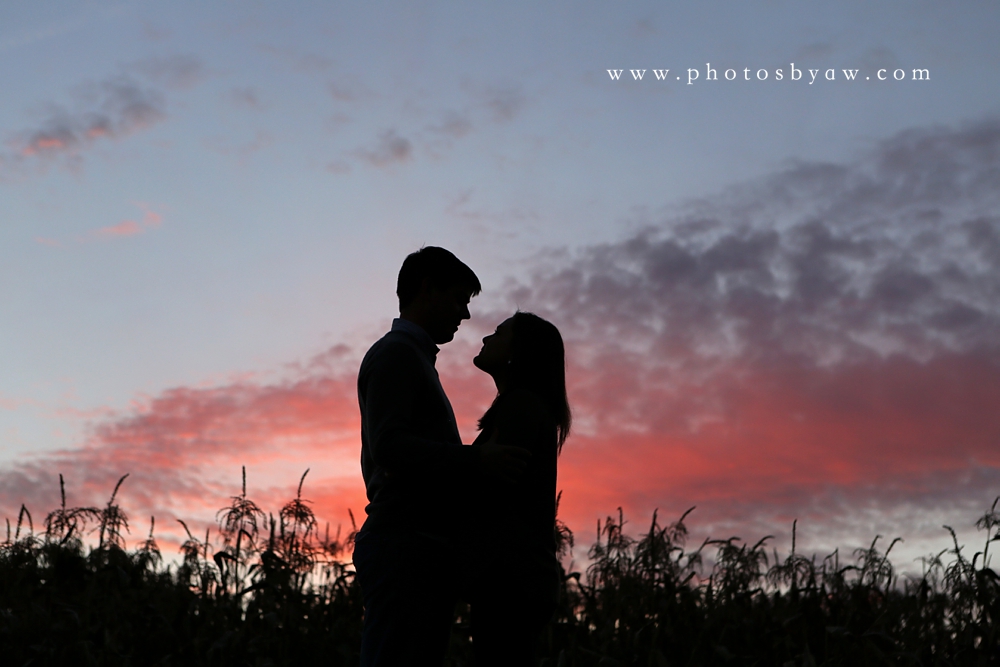 pumpkin patch engagement