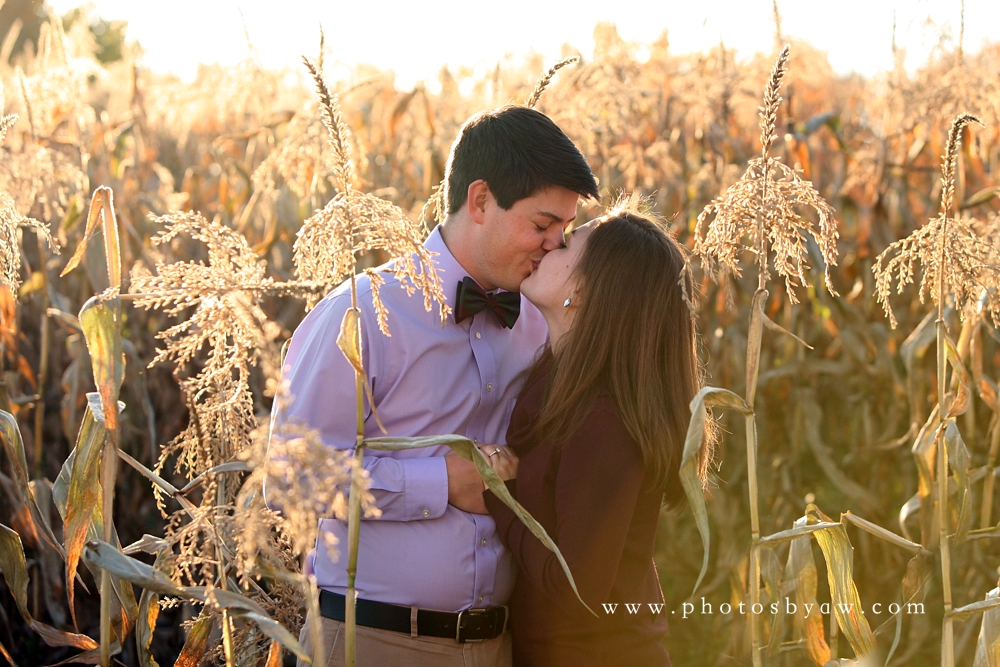 cornfield engagement