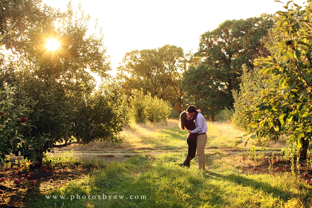 apple orchard engagement