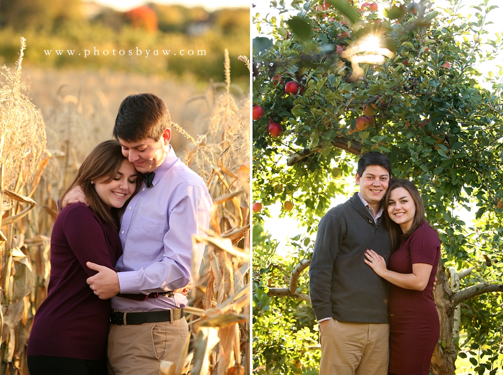 apple orchard engagement