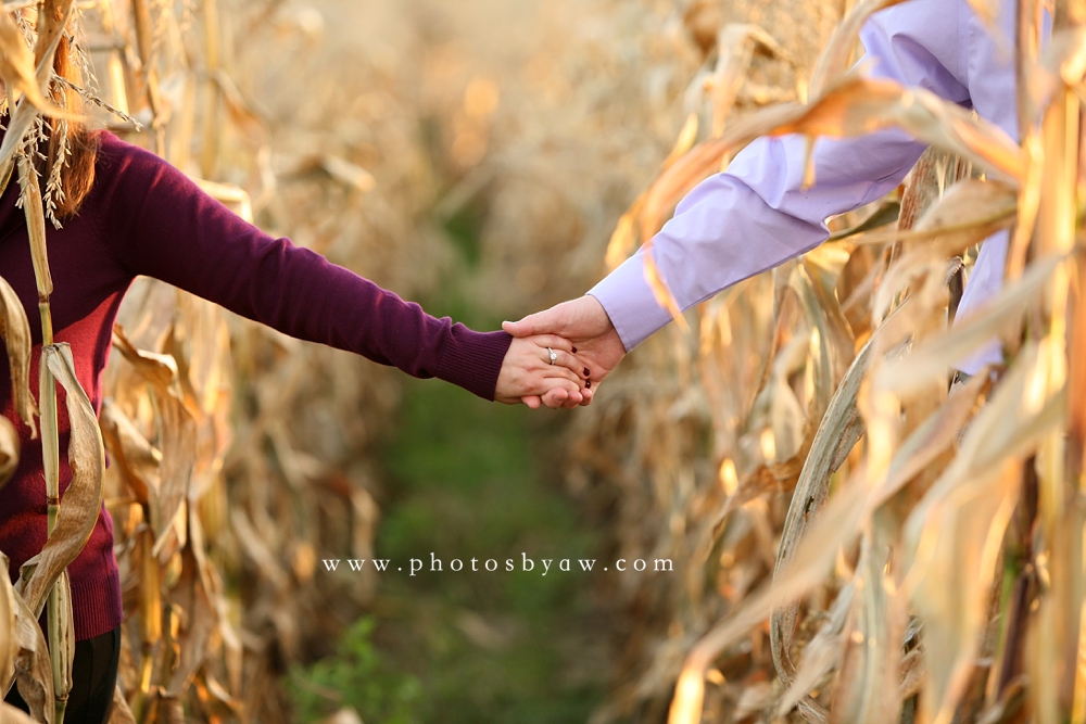 cornfield engagement