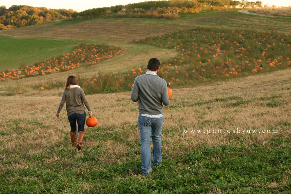 pumpkin patch engagement