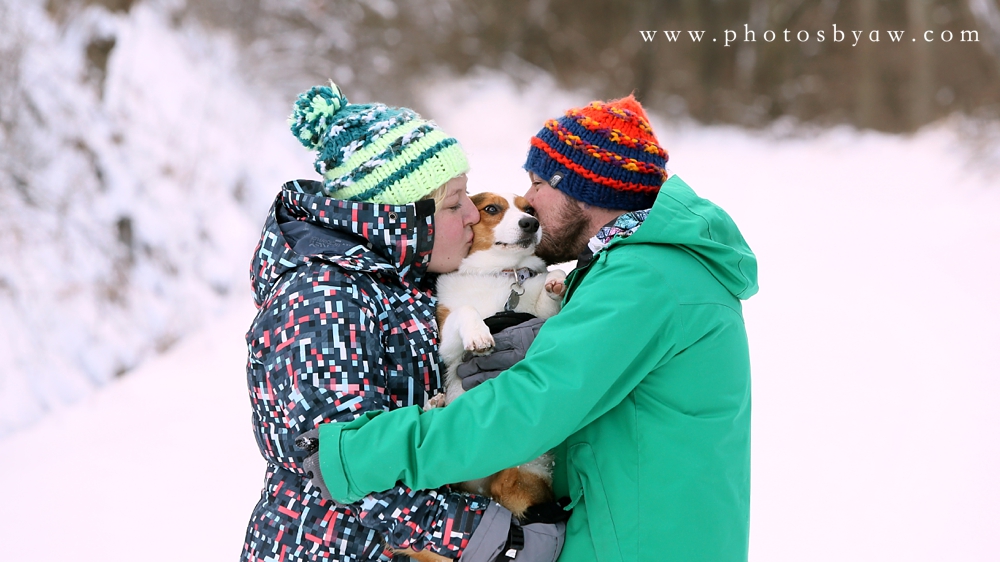 winter engagment dog