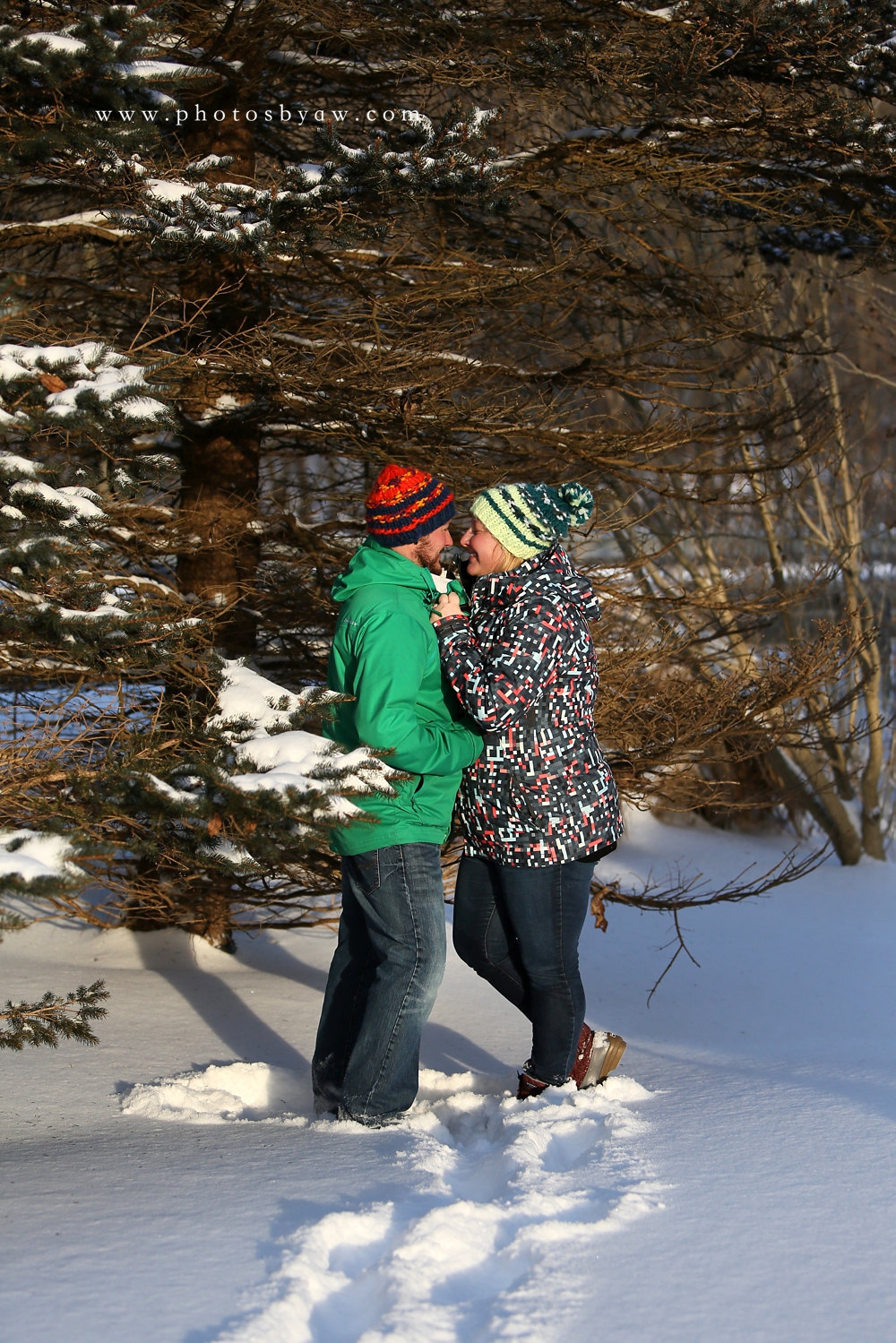 winter engagement snow day